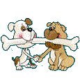 CHIENS AVEC OS 