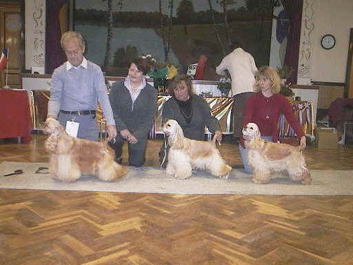 photo f blond