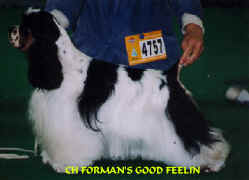 FORMAN'S GOOD FEELIN