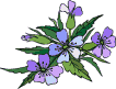 FLEUR