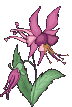 FLEUR