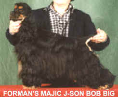 FORMAN'S MAJIC J-SON