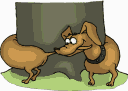LE CHIEN QUI SE MORS LA QUEUE