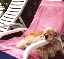 MAX EN VACANCE
