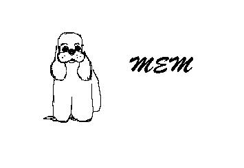 MEM